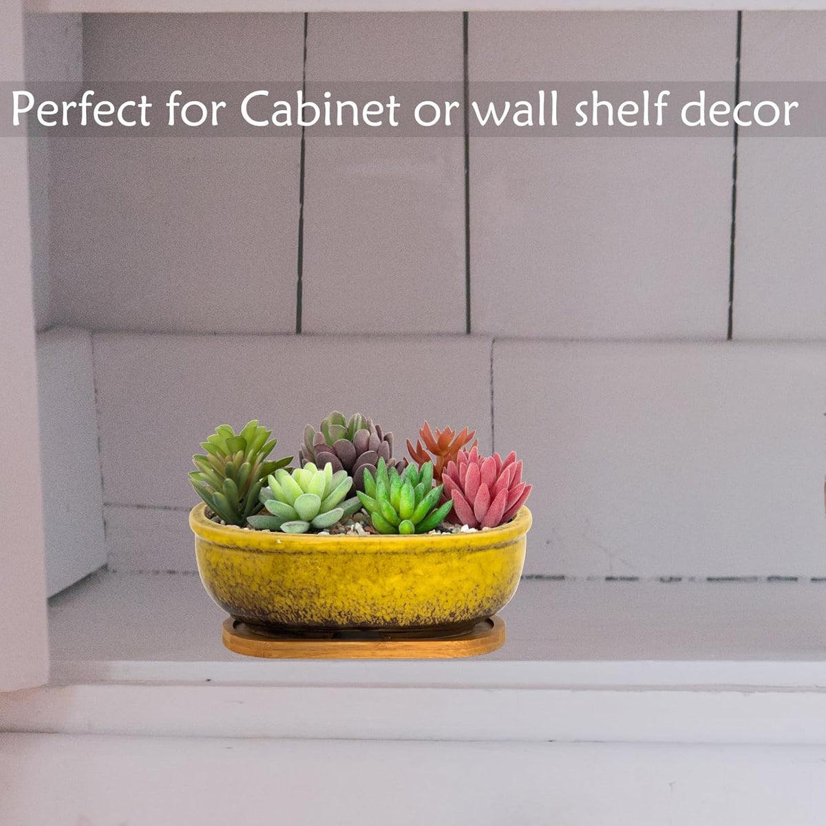 Succulent Pots, 7.9 Inch Long Rectangular Succulent Planters with Drainage Tray, Shallow Planters