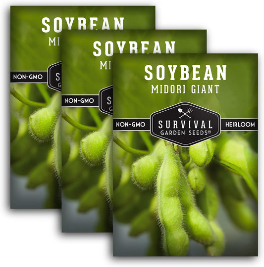 Midori Giant Soybean Seeds for Planting - Grow Protein-Rich Edamame Pods in Your Home Vegetable