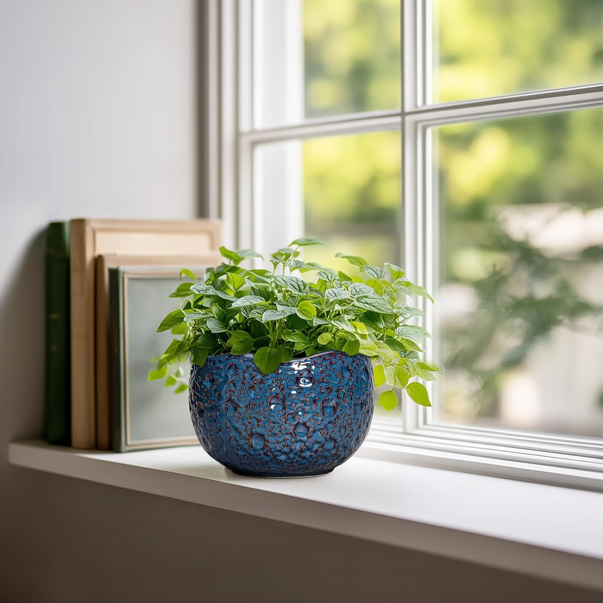 6 Inch Plant Pot - Ceramic Pots for Plants with Drainage Hole, Round Orchid Pot, Unique Planter for