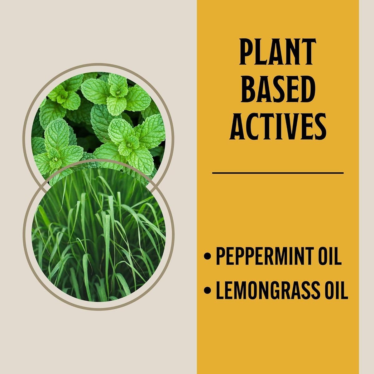 Grandpa Gus's Natural Spider Repellent Pouches, Peppermint and Lemongrass Oil Blend for Indoor Pest
