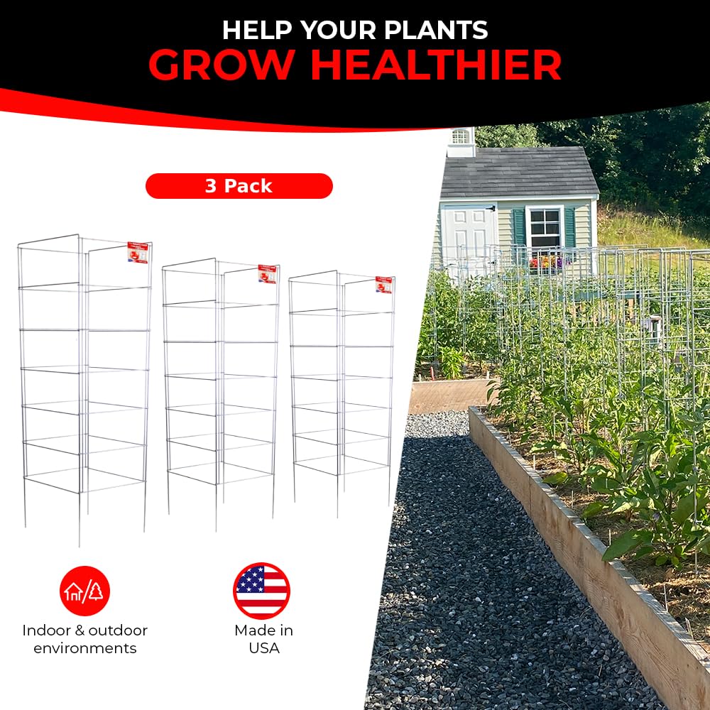 Cedar Ridge Square Foldable Tomato Cages - Made in USA Heavy Duty Plant Support for Vegetable