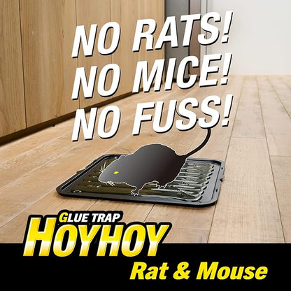 HOY HOY Jumbo Size Rat & Mouse Indoor/Outdoor Glue Trap 2 Large Traps [1 Pack] - Heavy-Duty