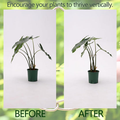 5Pcs Monstera Stem Support for Indoor Plants - 4.13 * 2.95 in- Durable Plant Support Stake Holder &