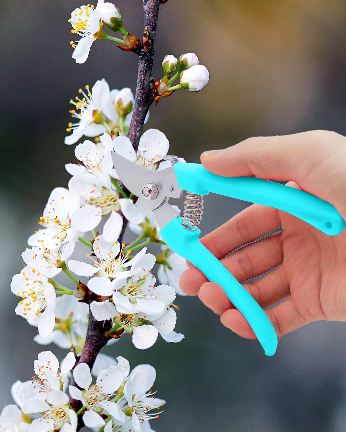 Pruning Shears for Gardening, 2 Pack Garden Scissors for Cutting Fresh Flowers, Floral Clippers for