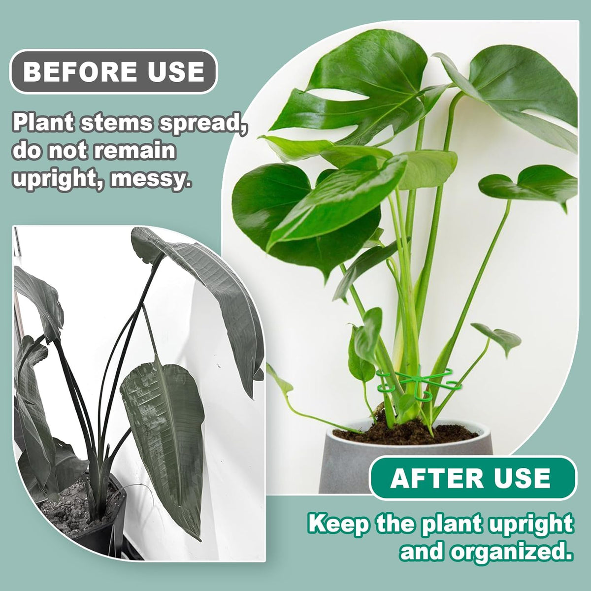 8PCS Plant Stem Support, 4 Sizes Climbing Houseplant Stem Holders, Plastic Reusable Flower Trellis
