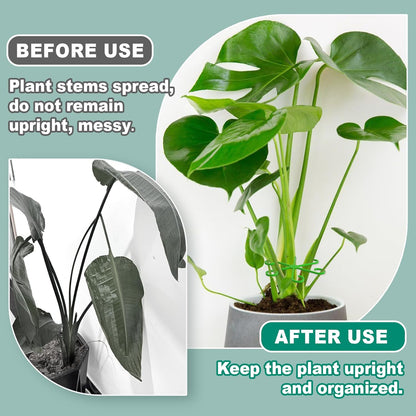 8PCS Plant Stem Support, 4 Sizes Climbing Houseplant Stem Holders, Plastic Reusable Flower Trellis