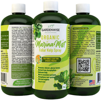 Organic Marina Mist Foliar Spray for Fiddle Leaf Fig and Other Ficus Trees | Micro Nutrients for