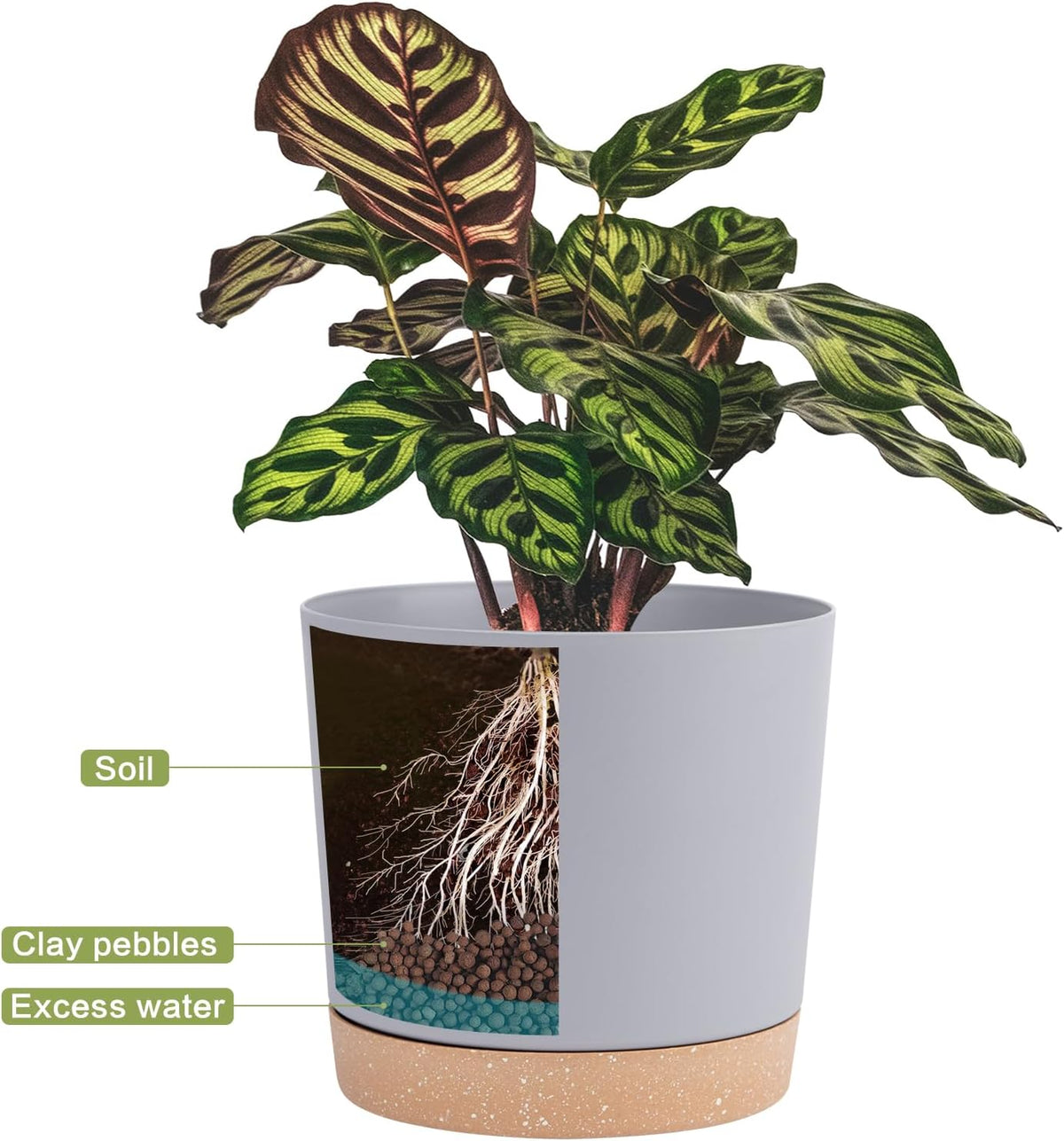 QCQHDU 6.5 inch Plant Pot, 2 Pack Planters for Indoor Plants with Drainage Holes & Saucer, Outdoor