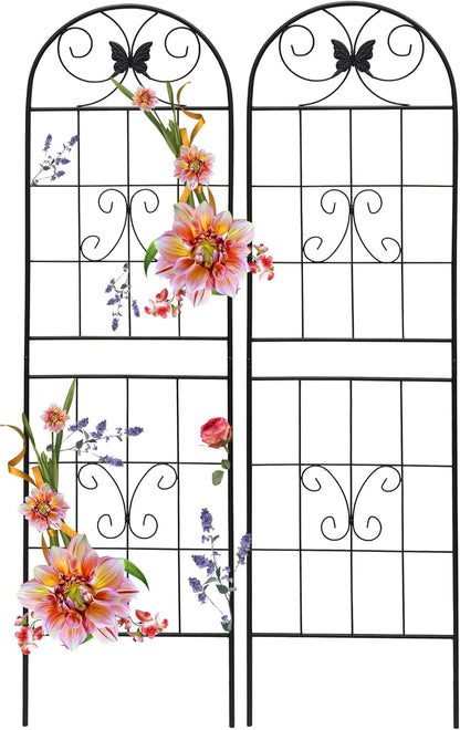 2 Pack Garden Trellises with Black Metal Coating, Trellis for Climbing Plants Outdoor, Roses