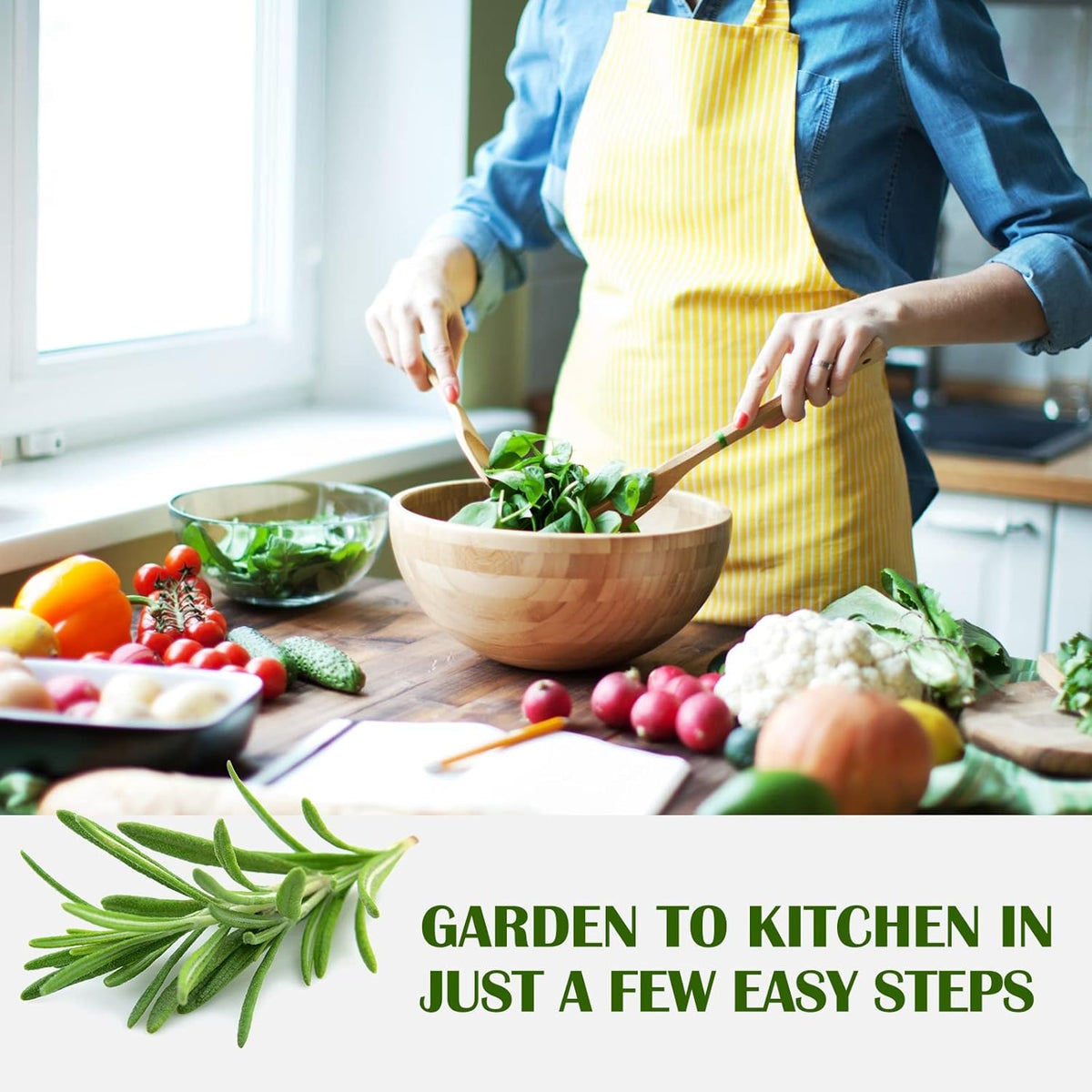 10 Kit Non-GMO Growing into Thyme, Lavender, Chamomile, Dill, Chives, Cilantro, Rosemary, Basil