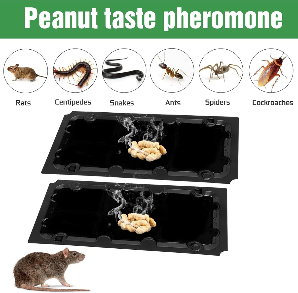 20 Pack Sticky Mouse Trap Rat Traps Indoor, Peanut Taste Pheromone Mouse Traps Indoor for Home