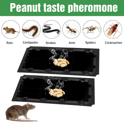 20 Pack Sticky Mouse Trap Rat Traps Indoor, Peanut Taste Pheromone Mouse Traps Indoor for Home