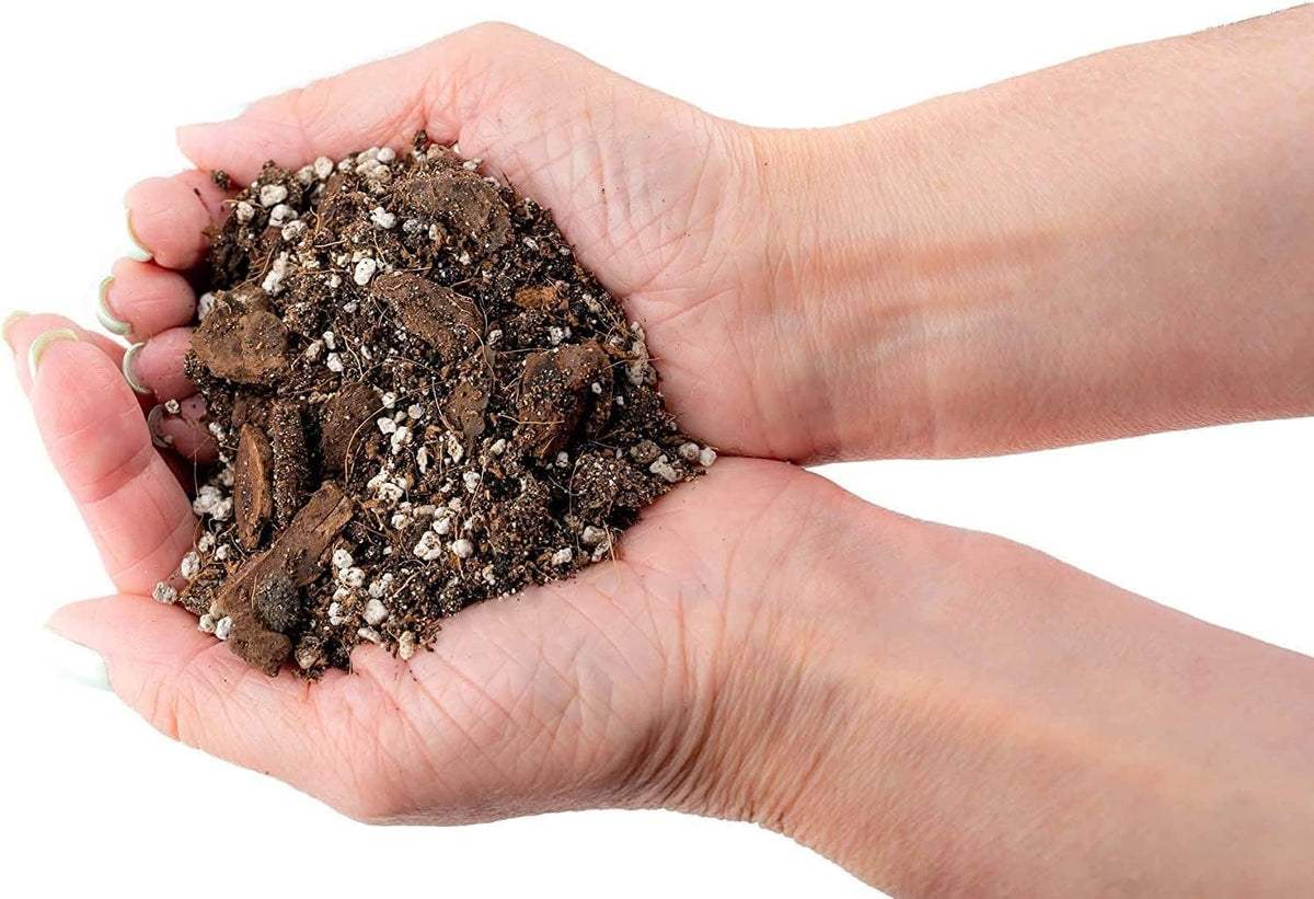 Gardenera Premium Banana Tree Potting Mix - Expertly Formulated Blend for Optimal Growth and Fruit