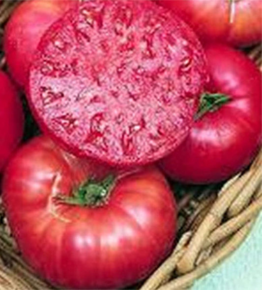 Pink Ponderosa Heirloom Tomato Seeds - Large Tomato - One of The Most Delicious Tomatoes for Home