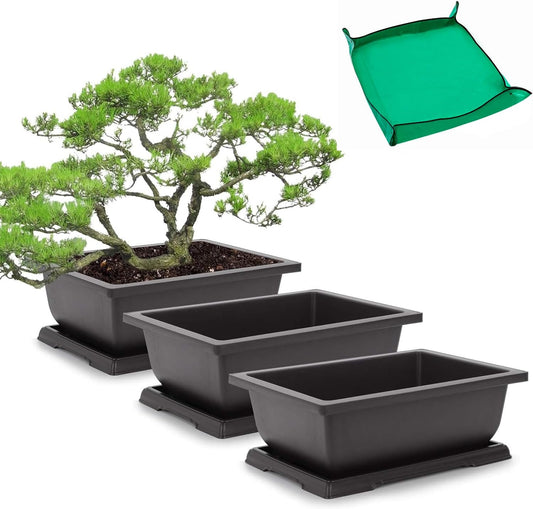 GROWNEER Bonsai Training Pots 3 Packs 9Inch with Drainage Humidity Trays, Bonsai Tree Starter Kits