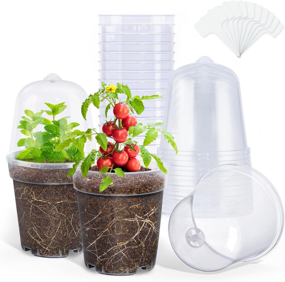 homenote Clear Nursery Pots for Plants,5 Inch Plant Pot for Planting with Humidity Domes Plastic