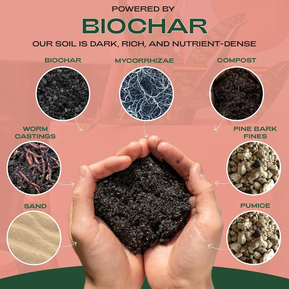Cactus and Succulent Organic Potting Soil Mix for House Plants - Fast Draining, Root Boosting