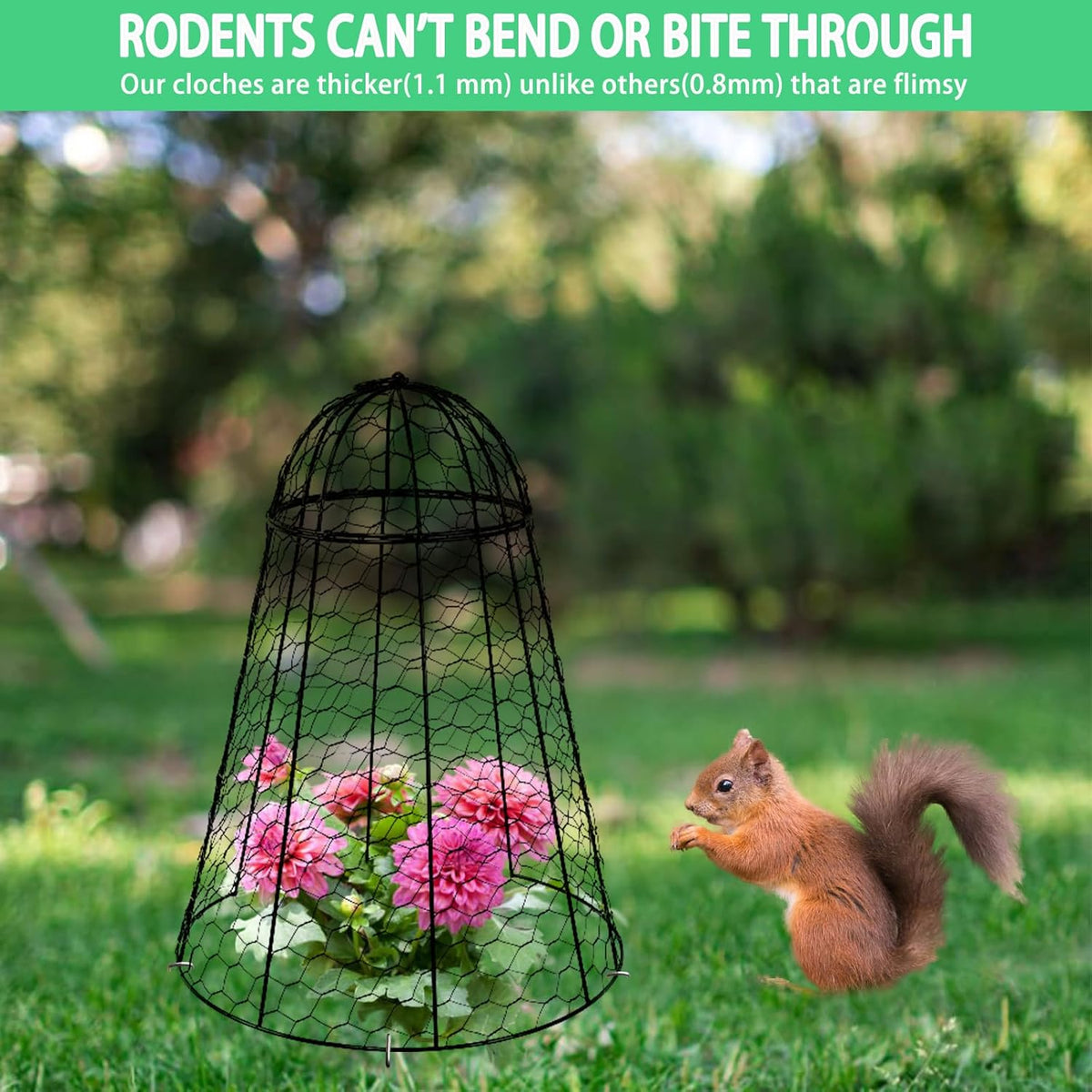 Garden Cloches for Plants Extra Large Sapbontchi Garden Cloche Chicken Wire Cloche for Plants Cages