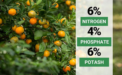 6-4-6 Avocado and Citrus Tree Professional Fertilizer Plant Food for Outdoor/Indoor Gardening;