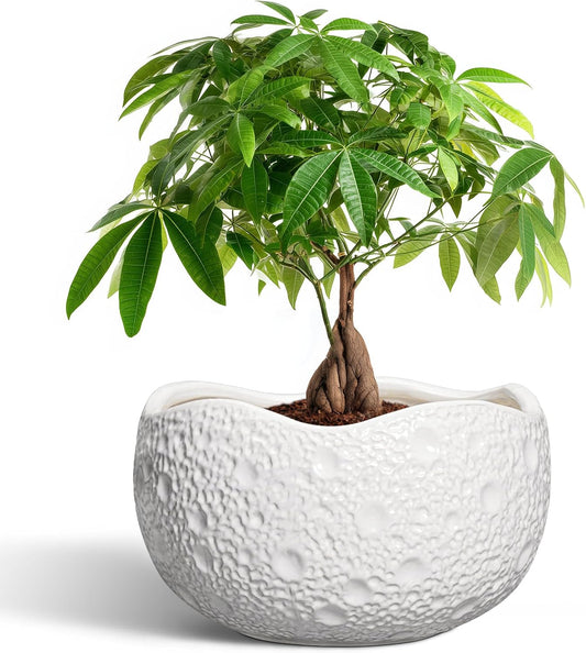 10 Inch Plant Pot - Ceramic Planter for Indoor Outdoor, Round Bonsai Pots, Decorative Flower Pots