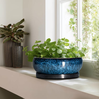 Bonsai Pots - 13 Inch Ceramic Succulent Pots for Indoor Outdoor, Large Succulent Planter with