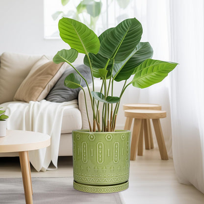 Ceramic Pot for Plants - 10 Inch Indoor Plant Pots with Drainage Holes and Saucer, Boho Round