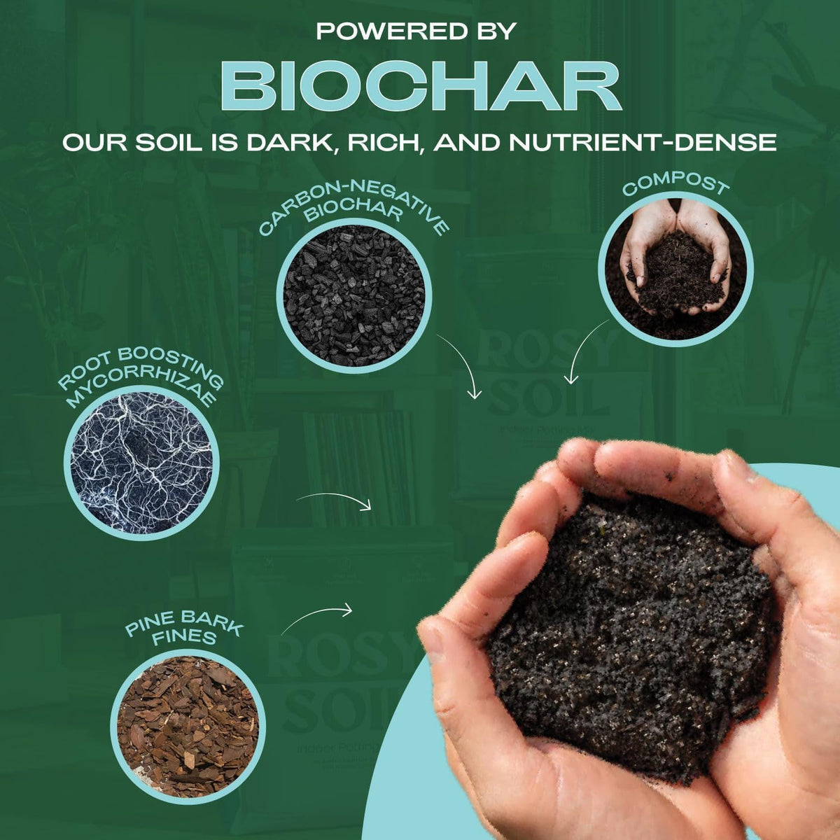 Rosy Soil Indoor Potting Soil for House Plants - Organic Potting Soil Mix for Indoor Plants
