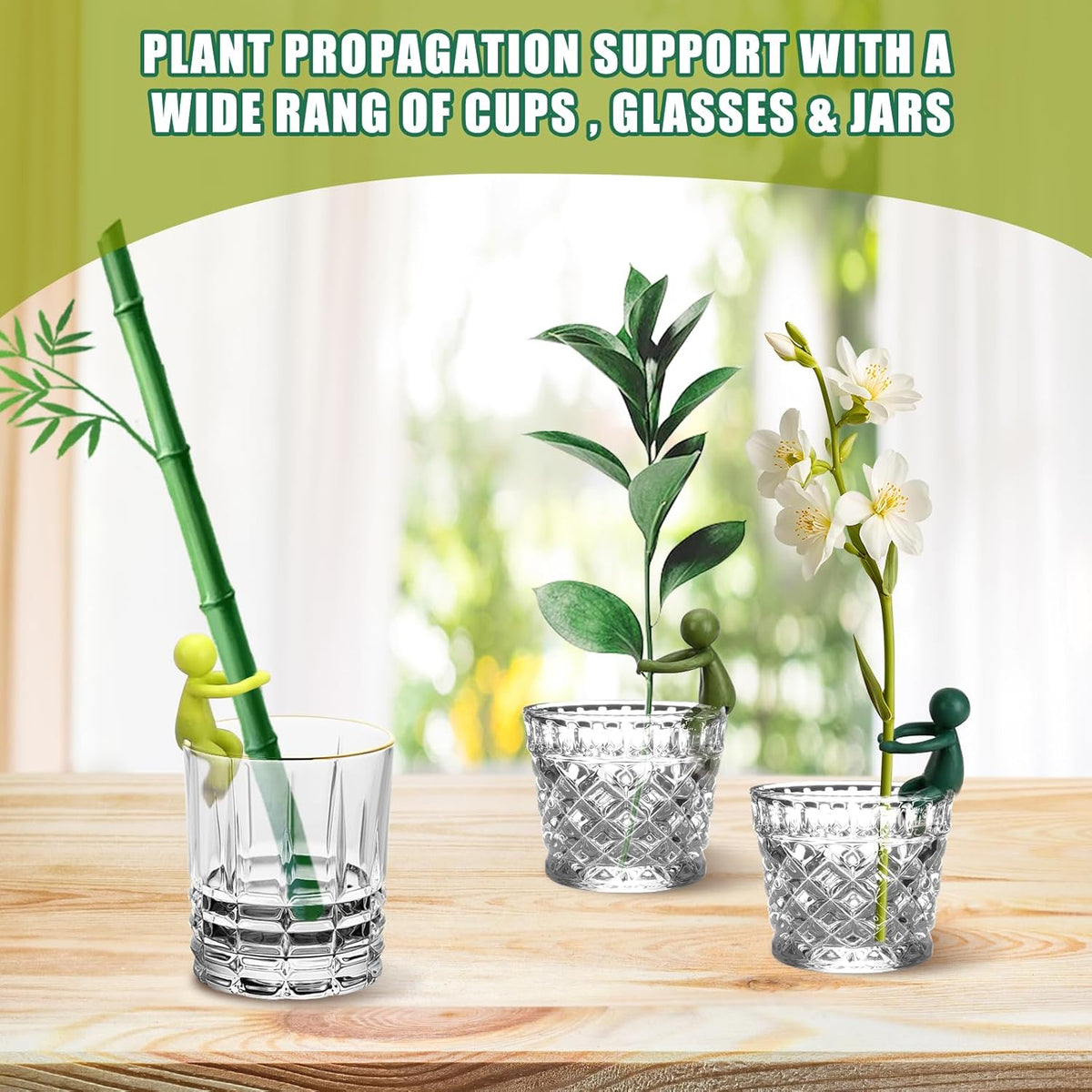 3pcs Plant Propagation Buddy, Propagated Plant Holders,Plant Stem Support,Plant Support for