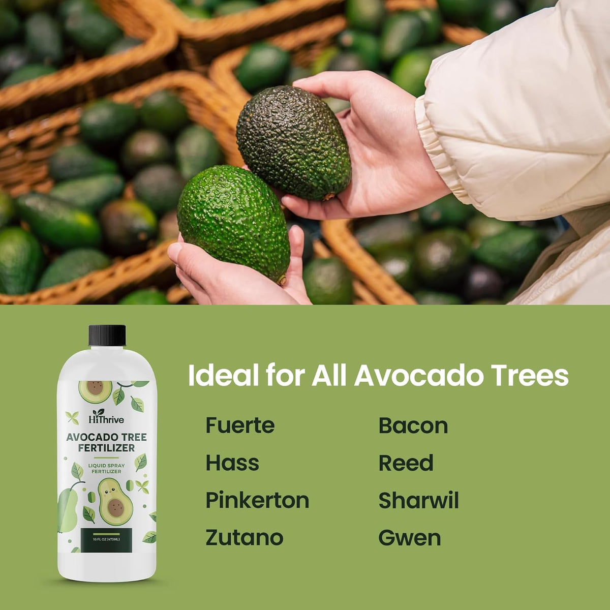 16oz Fruit Tree Fertilizer for Avocados - Makes 32 Gallons of Avocado Tree Fertilizer, Premium