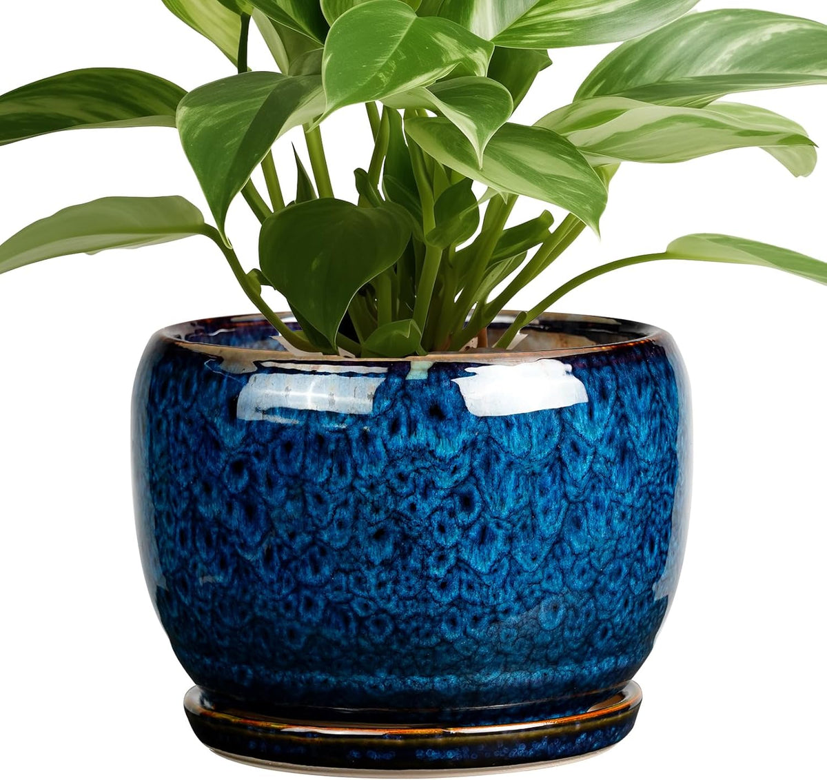 SQOWL Ceramic Planter 8 Inch - Pot for Indoor Outdoor Plants Round Ceramic Plant Pot with Drainage