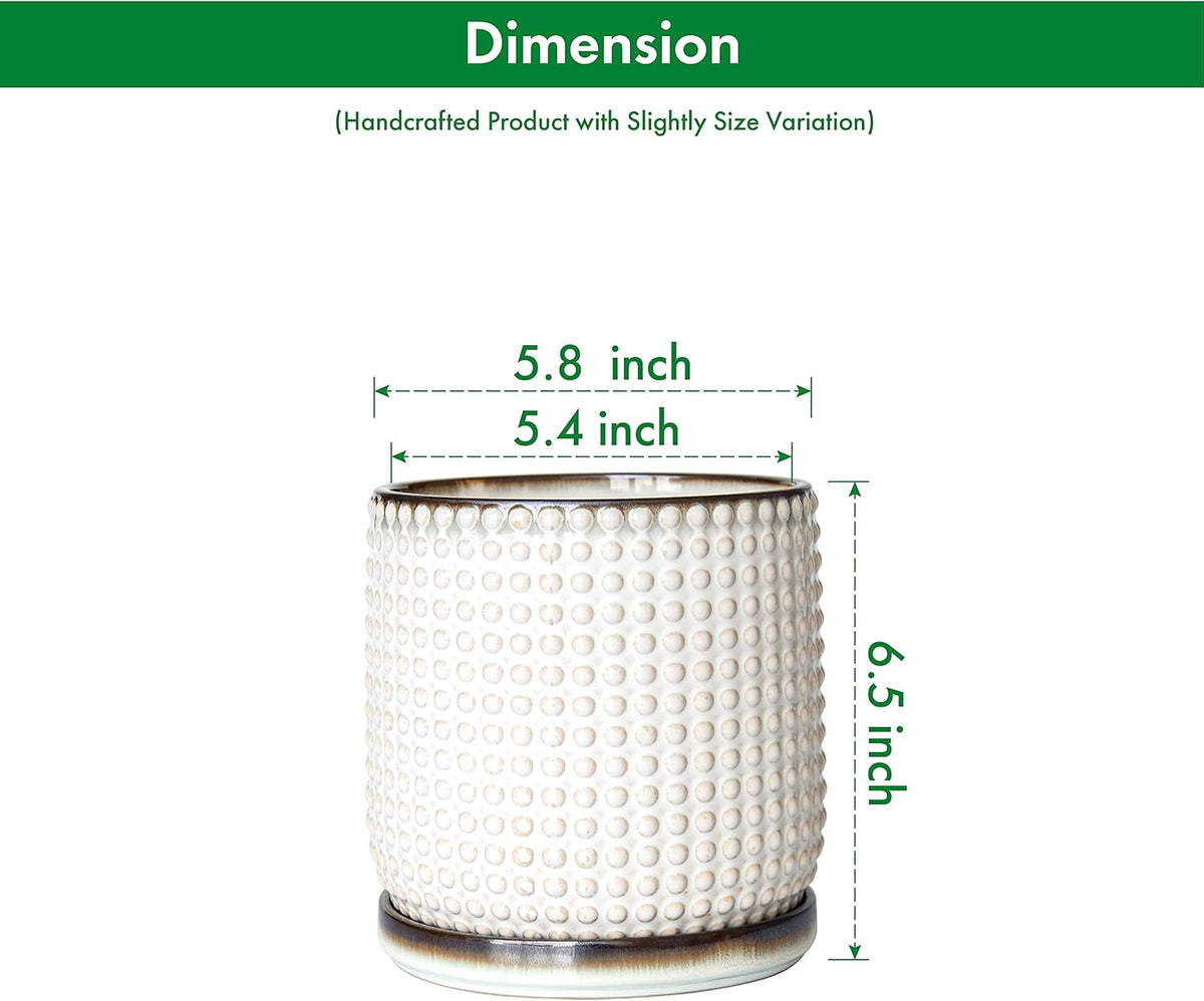 D'vine Dev Set of 2 Ceramic Plants Pots, 6 Inch Beaded Stoneware Flower Pot for Plants with