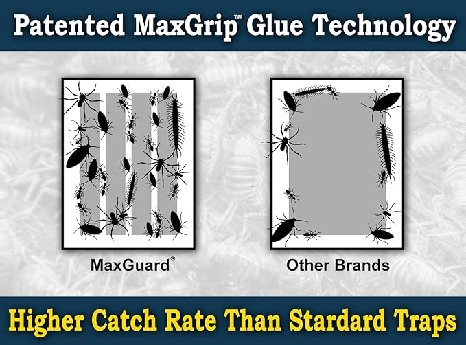 MaxGuard MaxGrip Glue Traps (24 Traps) Non-Toxic Extra Sticky Glue Board Pre-Baited with Fruity