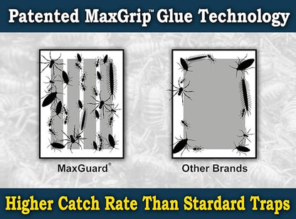 MaxGuard MaxGrip Glue Traps (24 Traps) Non-Toxic Extra Sticky Glue Board Pre-Baited with Fruity