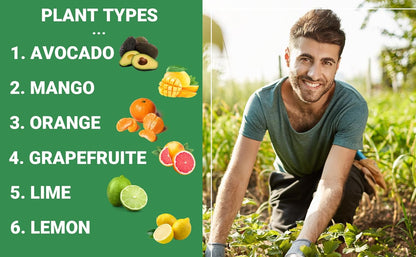 6-4-6 Avocado and Citrus Tree Professional Fertilizer Plant Food for Outdoor/Indoor Gardening;