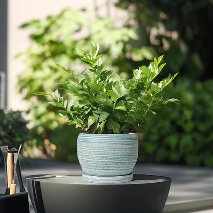 SQOWL Ceramic Plant Pots - 6 Inch Planter with Drainage Hole and Tray, Round Flower Pot for Indoor