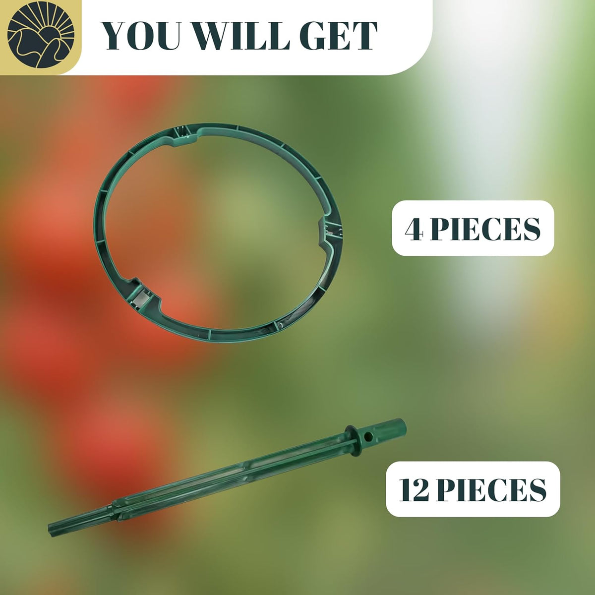 SunVara Small Tomato Cage for Pots Mini Tomato Cage Trellis 9'' Each 36'' in Total with Gloves