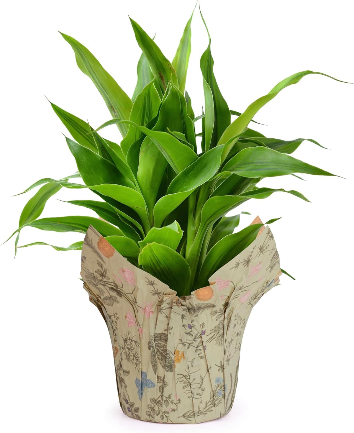Premium 6” AZA Plant Pot Covers, Decorative Plant Sleeve for Indoor & Outdoor House Plants