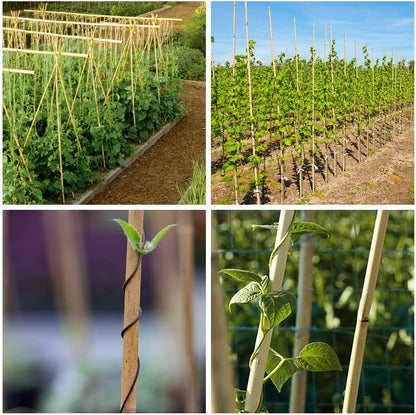 Mininfa Natural Bamboo Stakes 6 Feet, Eco-Friendly Garden Stakes, Plant Stakes Supports Climbing