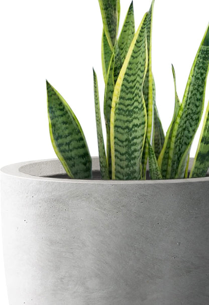 Kante 18 Inch Dia Round Concrete Planter, Indoor Outdoor Large Plant Pot with Drainage Hole and
