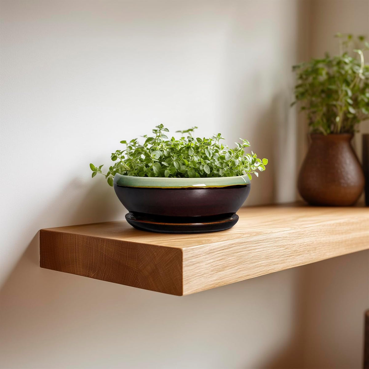SQOWL Succulent Pots 6 Inch - Shallow Ceramic Planter, Bonsai Pot with Drainage Hole and Saucer