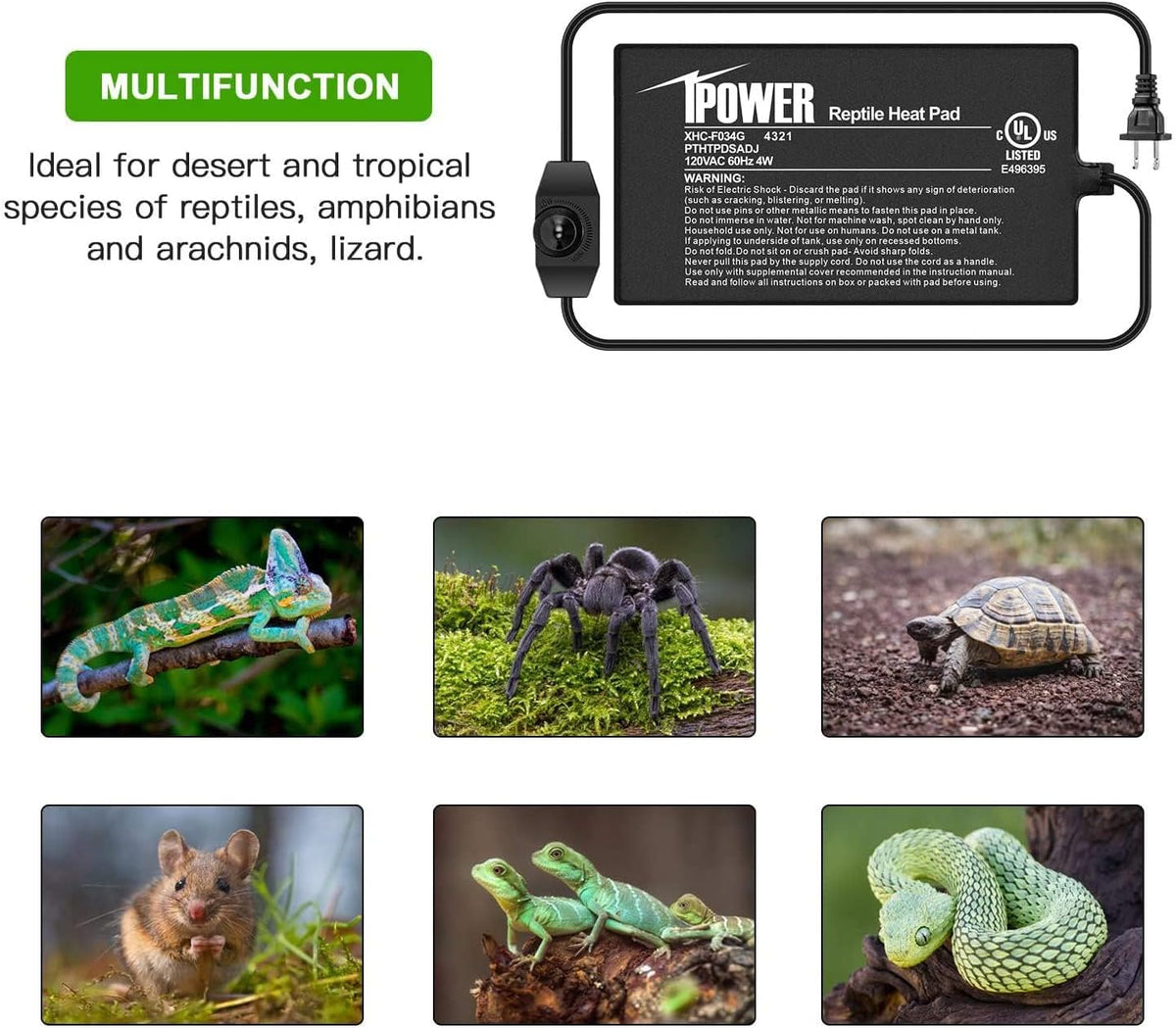 iPower 4 by 7-Inch 4 Watts Reptile Heating Mat with Temperature Controller Under Tank Warmer