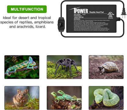 iPower 4 by 7-Inch 4 Watts Reptile Heating Mat with Temperature Controller Under Tank Warmer