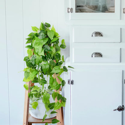 LOYWREE 35.4in Artificial Plants in Black Pot Realistic Fake Hanging Potted Greenery with Faux Ivy