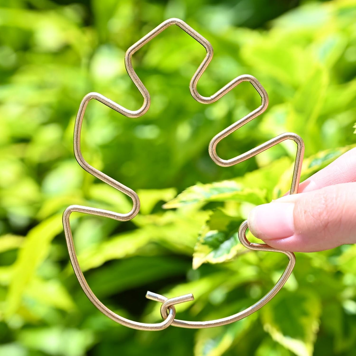 5Pcs Monstera Stem Support for Indoor Plants - 4.13 * 2.95 in- Durable Plant Support Stake Holder &