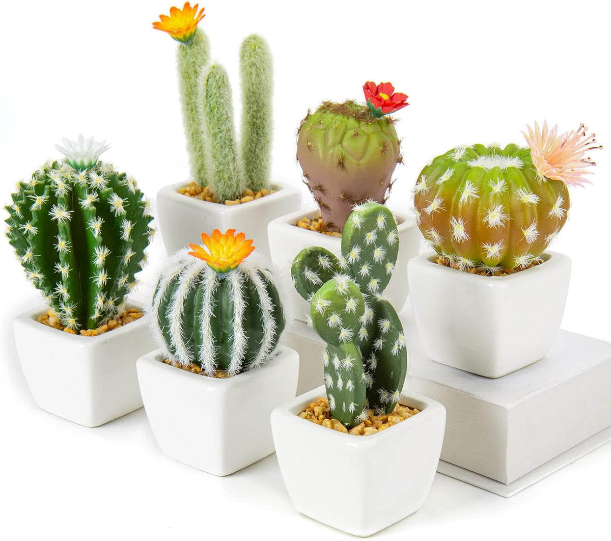 Mini Artificial Cactus Plants in Ceramic Pots 6 Pcs Potted Faux Succulents in Pots Fake Potted