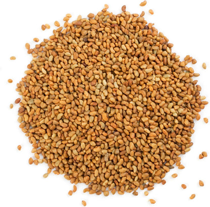 Food to Live Organic Alfalfa Seeds for Sprouting, 12 Ounces - Non-GMO, Edible Seeds, Pure, Kosher