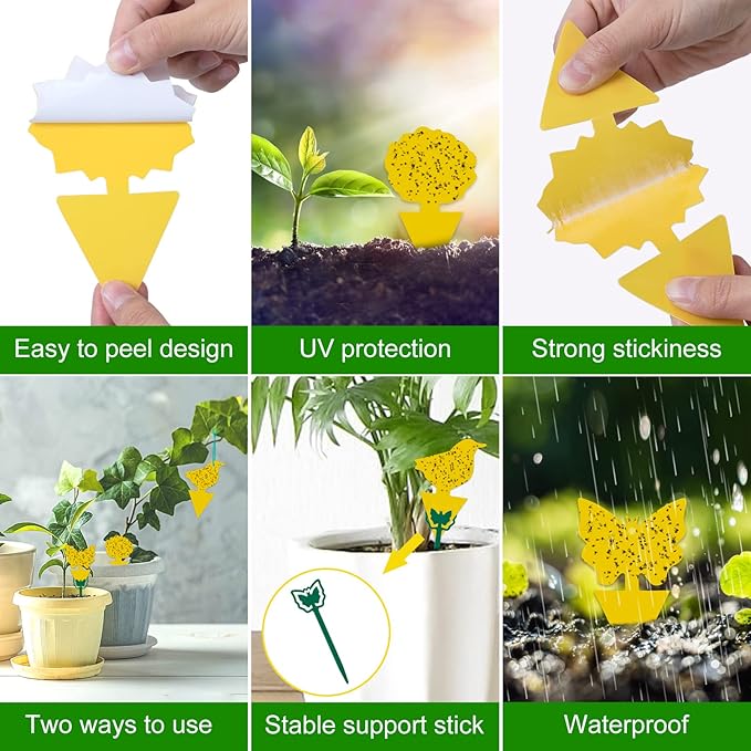 54 Pack Fruit Fly Trap for Indoor, Gnat Traps for House Indoor, Fungus Gnat Killer Sticky Traps for