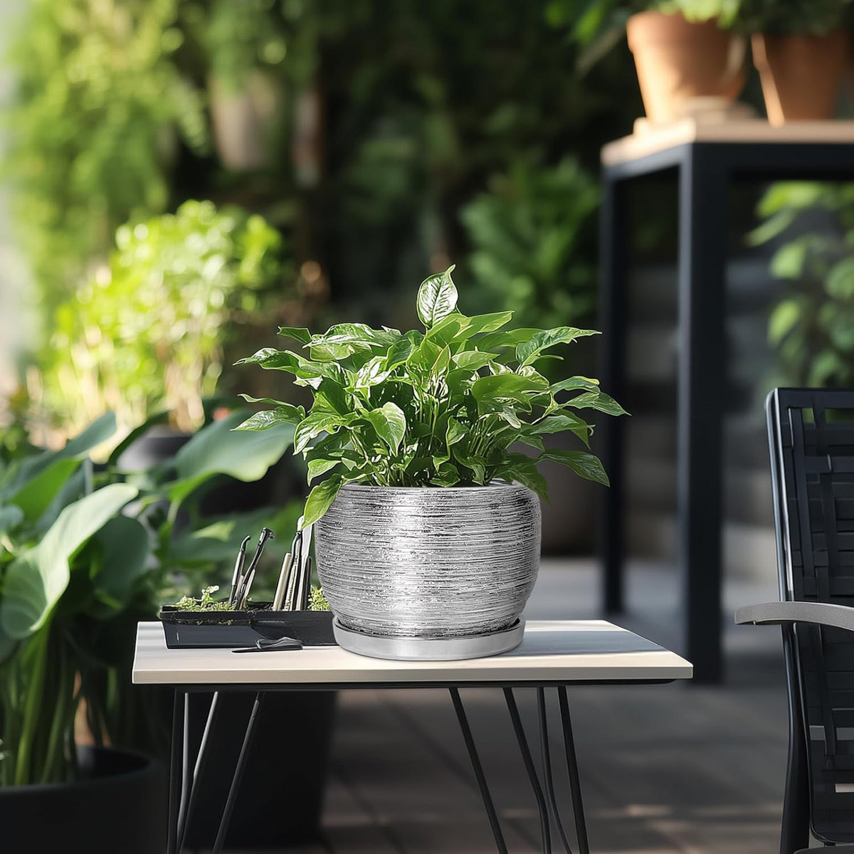 SQOWL Ceramic Pot for Plants - 8 Inch Planter with Drainage Hole and Saucer, Round Planter Indoor