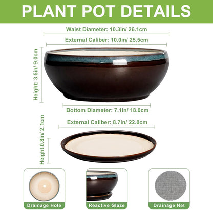 SQOWL Bonsai Tree Pots - 10 Inch Ceramic Succulent Pots with Drainage Hole and Saucer, Round