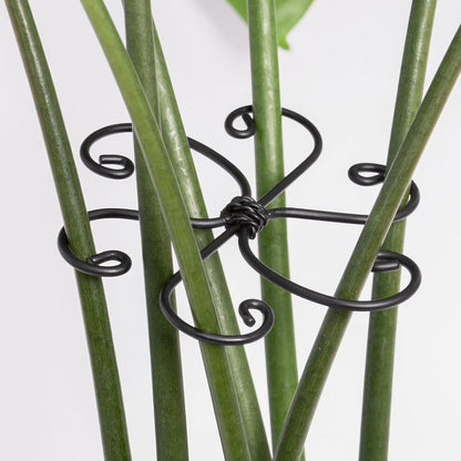 Monstera Plant Support Hook - 4.1x4.1IN 5PCS, Durable Adjustable Stem Support System, Gentle